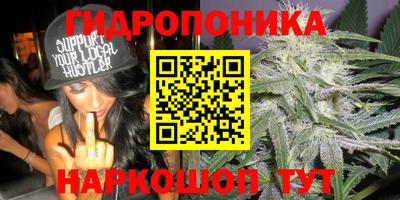 стафф Чебаркуль