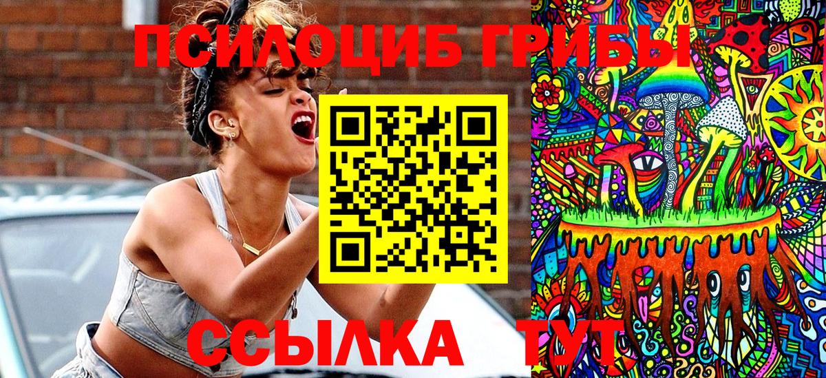 Галлюциногенные грибы Psilocybine cubensis Ачинск